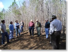 chestnut_planting_007.sm