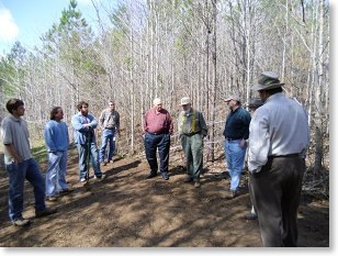 chestnut_planting_007.sm