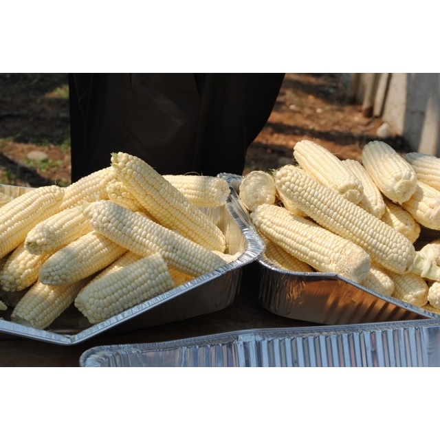 Here is a sampling of that beautiful corn.