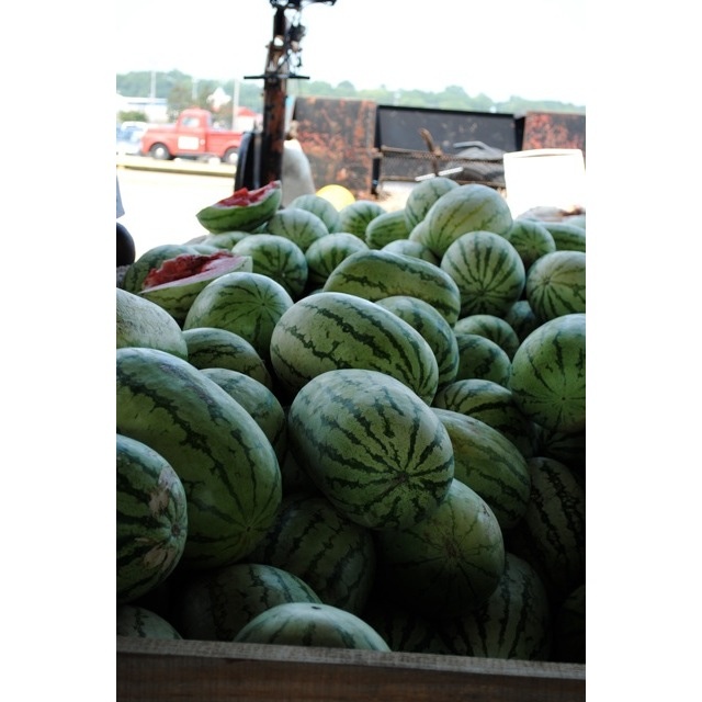 It's prime time for sweet watermelon.